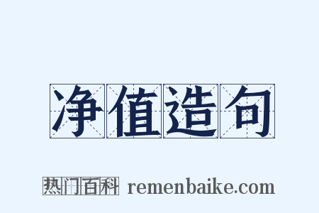 净值造句是什么意思的图片